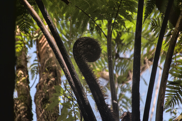 2023-09-27_13-40-10.14_DSC0620