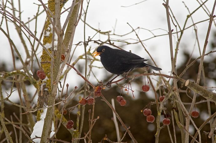 260127_110912_DSC08407