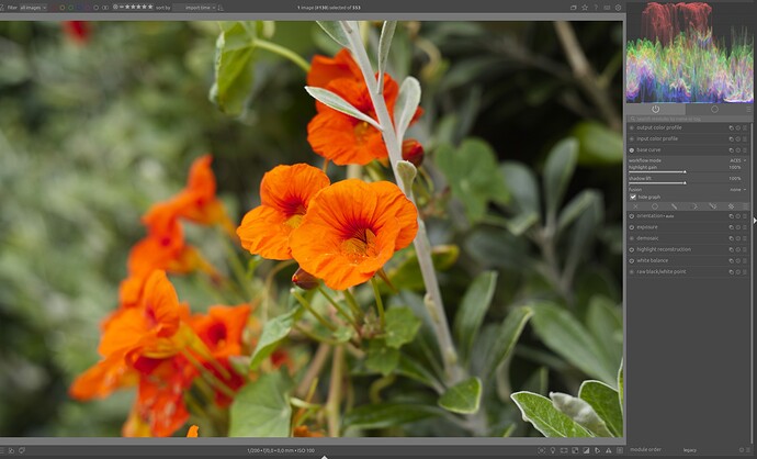 Screenshot_20260201_002730