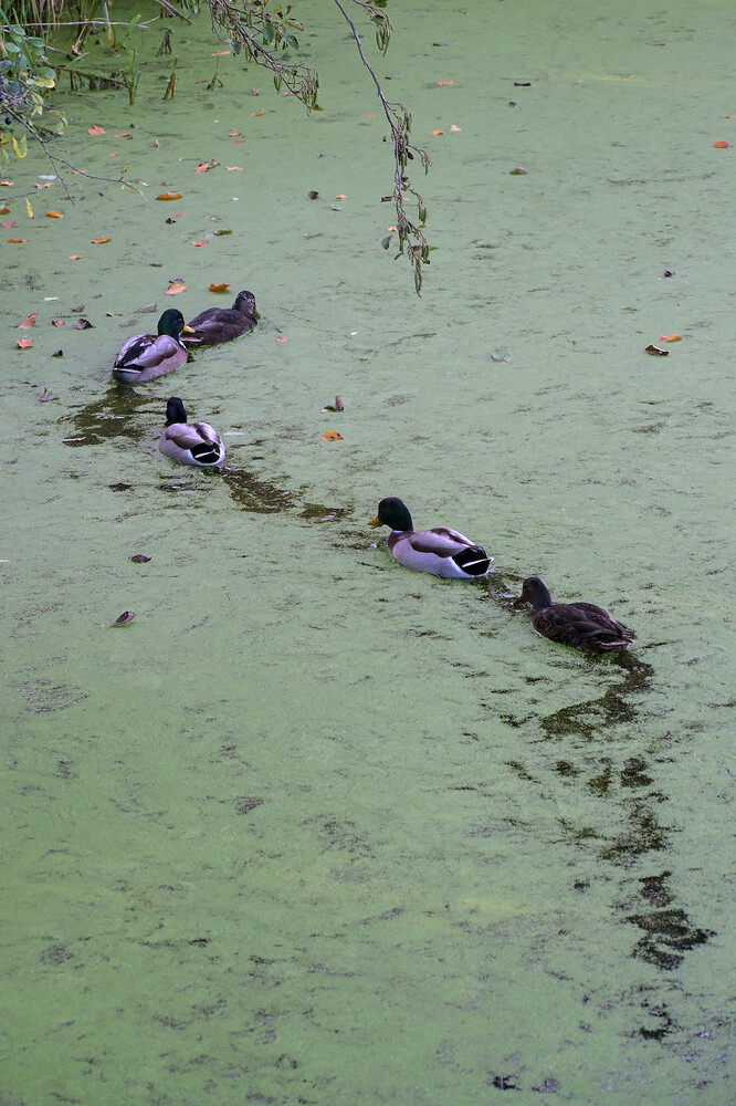 20251105-133957-DSC_0866