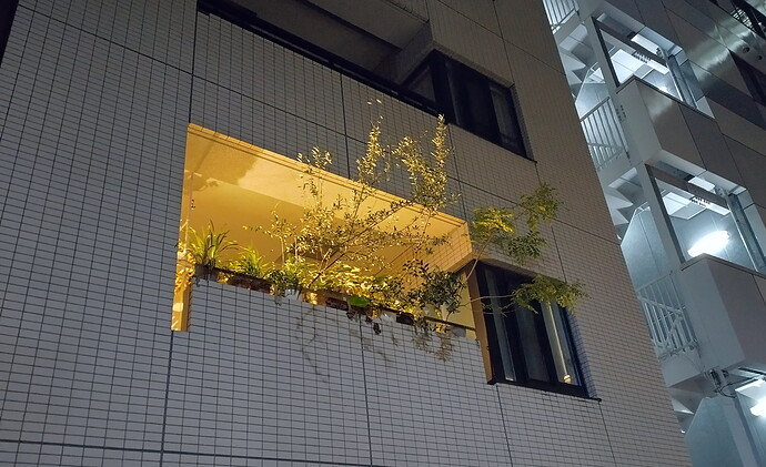 IMG_20260621_223032_HDR - Nihonbashi apt