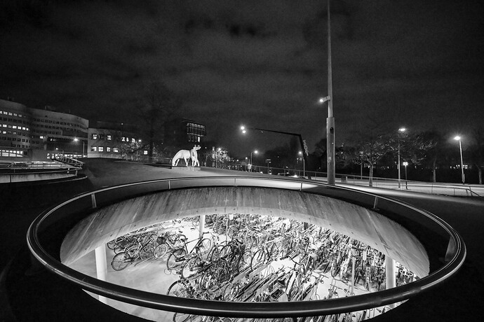 20251204-220455-DSC_1311