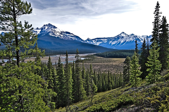 2025-05-25_16-38-18 RawTherapee and GIMP (jpegli)