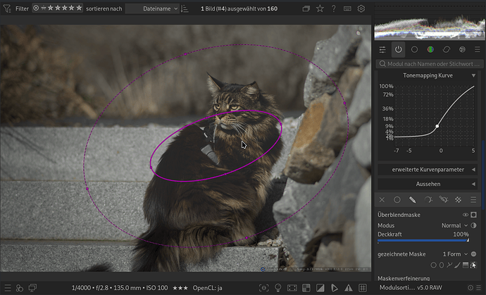 Bildschirmfoto_20251111_142642