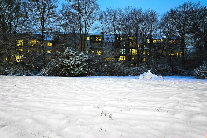 DSC07727 RawTherapee and GIMP (1)