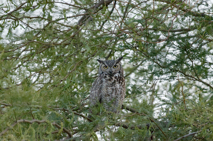 _DSC2403