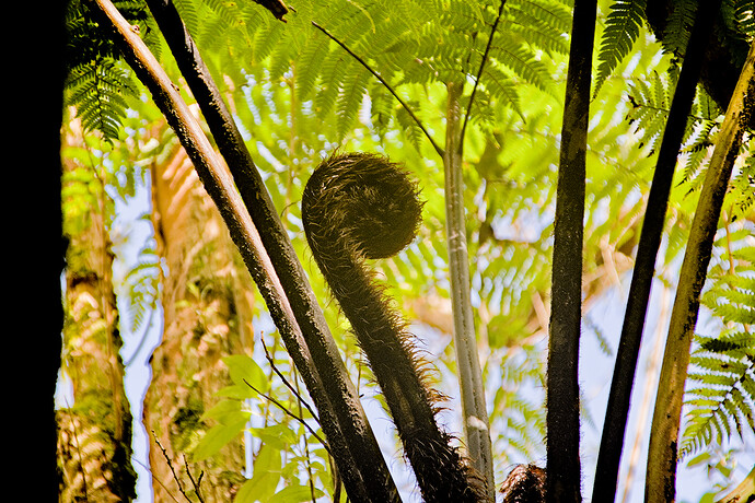 2023-09-27_13-40-10.14_DSC0620