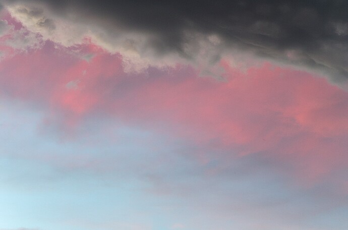 IMGP1085_01