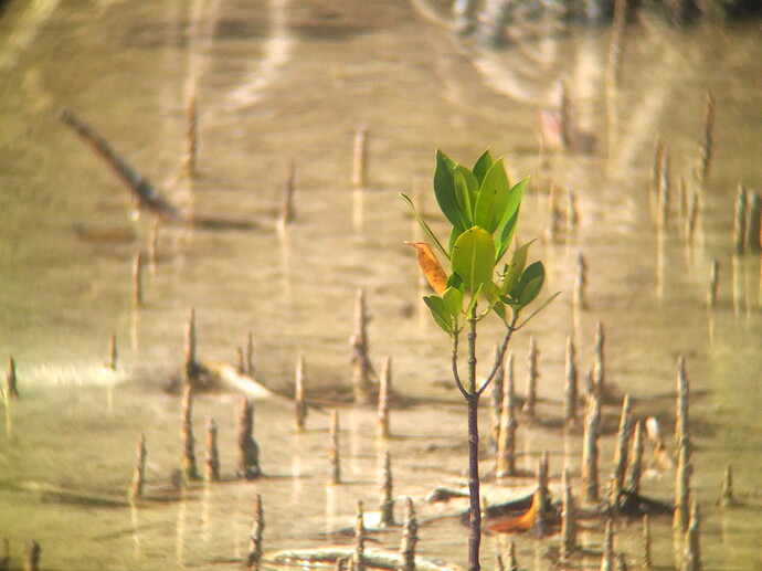 IMG_20251112_132044.edited