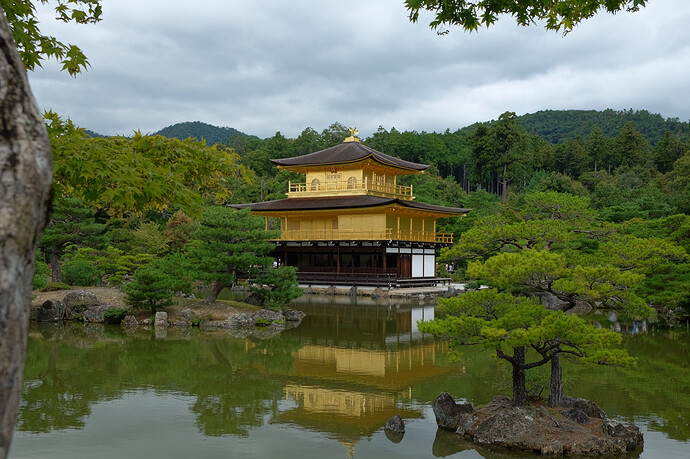 2025_10_11-10_32_54_DSCF7088_jiw