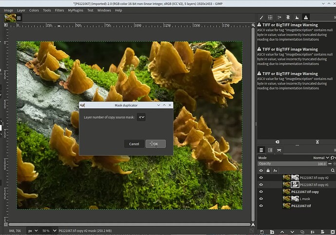vokoscreenNG-2025-08-26_23-19-28-0005