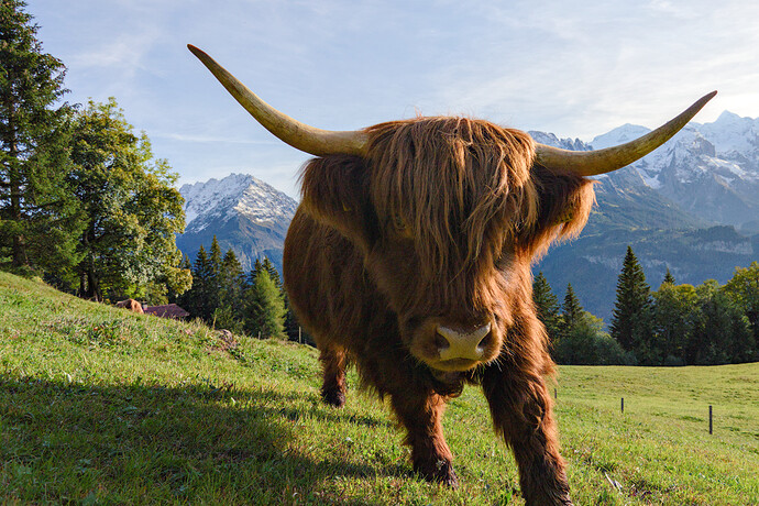 2020-10-08_17-02-17_DSC_0228