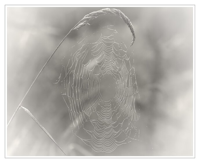 FWR_9052_02