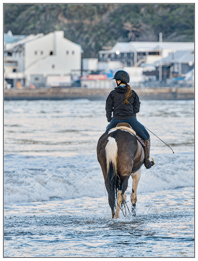 DSC_6172_0