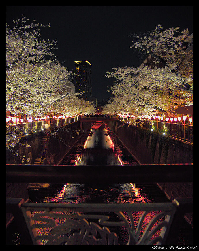 JapanNightly_HD