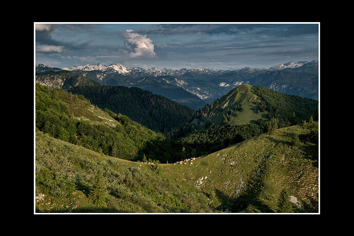 DSCF7972_01