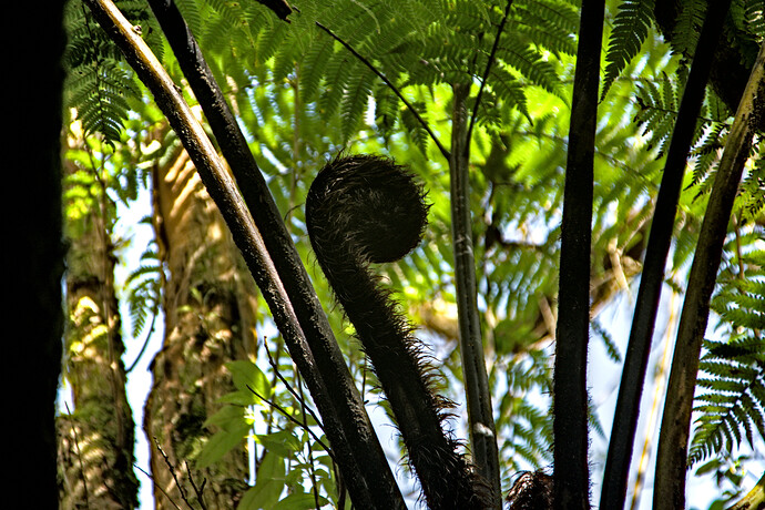 2023-09-27_13-40-10.14_DSC0620