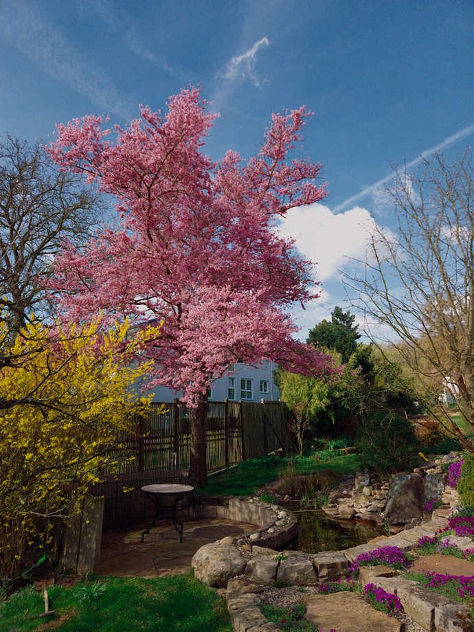 260406_111909_P06-provia100fSpektrafilm