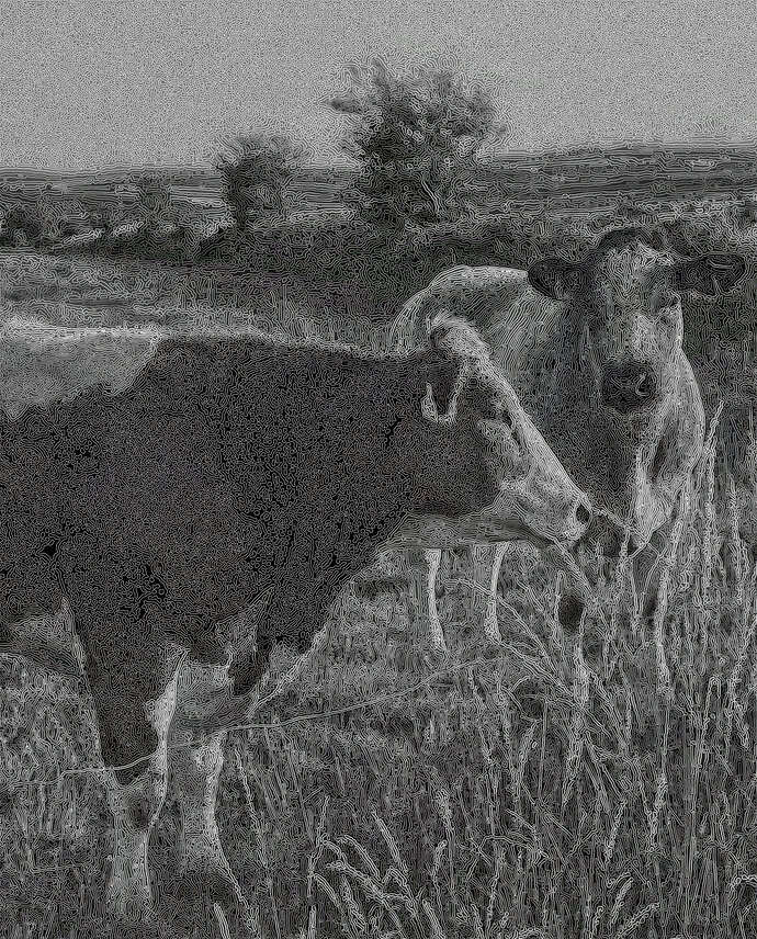 stringy_bull