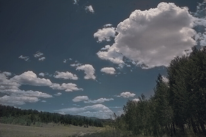 DSZ_9240_art_chainner-scunet_color_real_psnr_gimp_gmic_edit