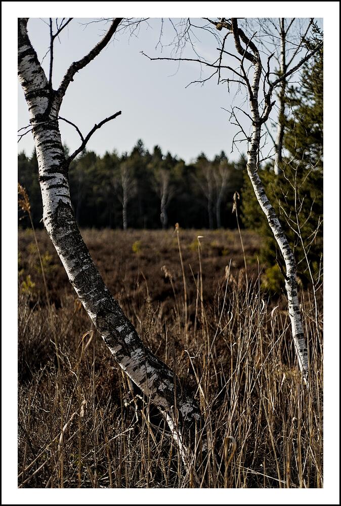 20260307-1554-000289