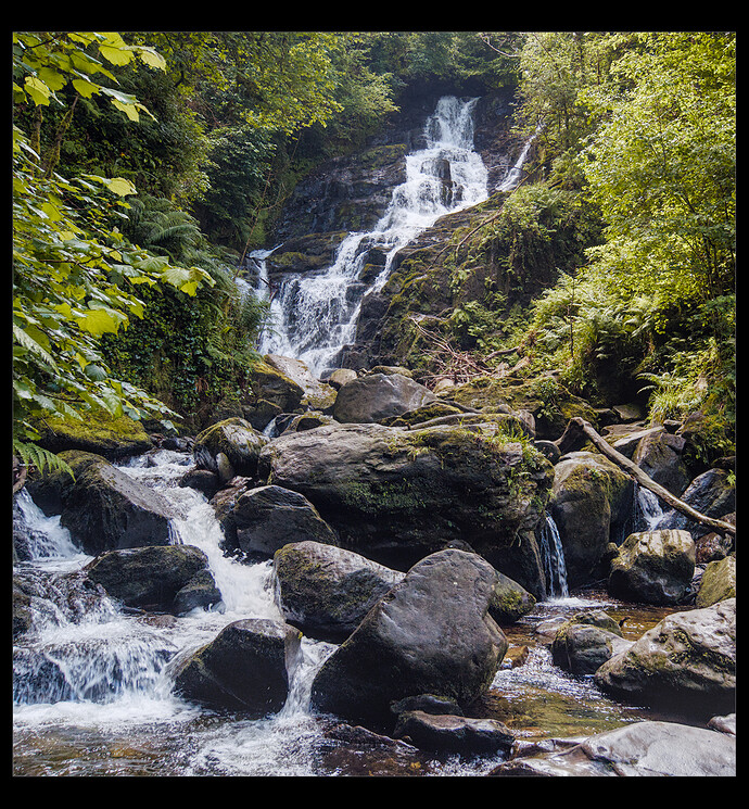 P6170479_01