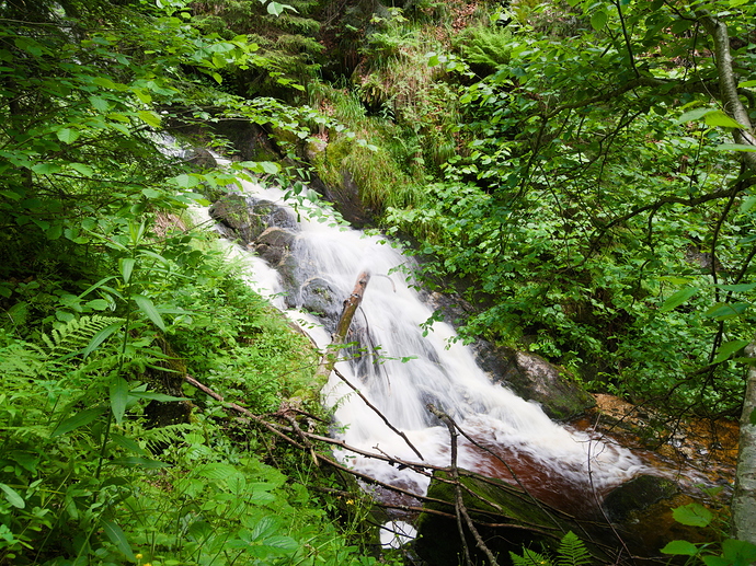 P6303535