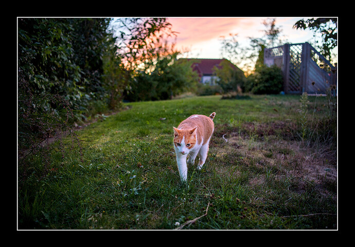 260824_203703_DSC07493