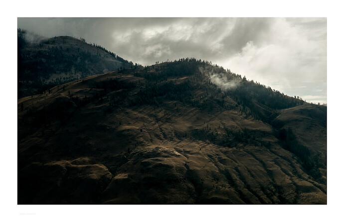 DSC00395