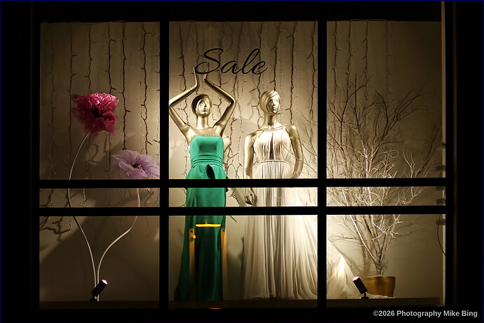 EMG26317-Haifa-ISO200-F1.9-43mm_v1_filtered-illustration5050-2026-web