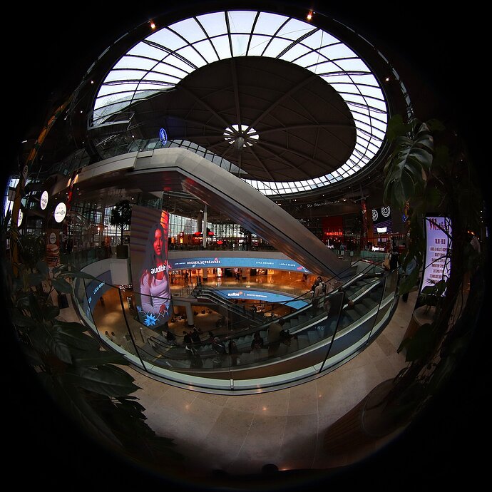 Dome