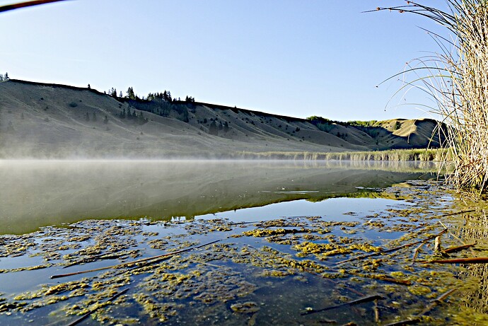 _DSC1450