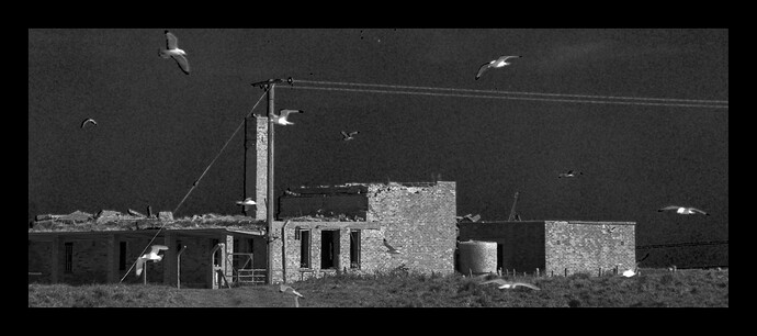 20250523-1716-9868_0_01