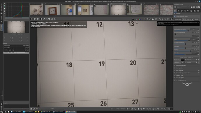 RT auto-levels screenshot