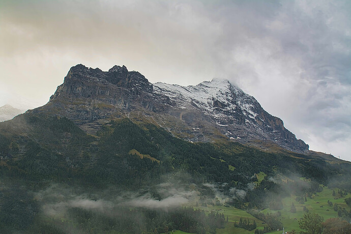 IMG_7161 GIMP (Jpegli)