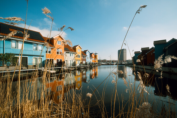 20260303-124152-DSC_0173