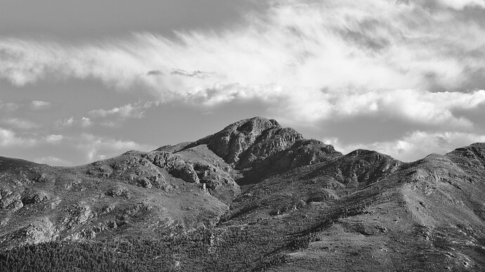 _DSC0613.IlfordDelta100