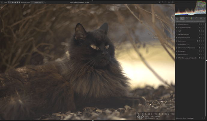 Bildschirmfoto_20251019_154325