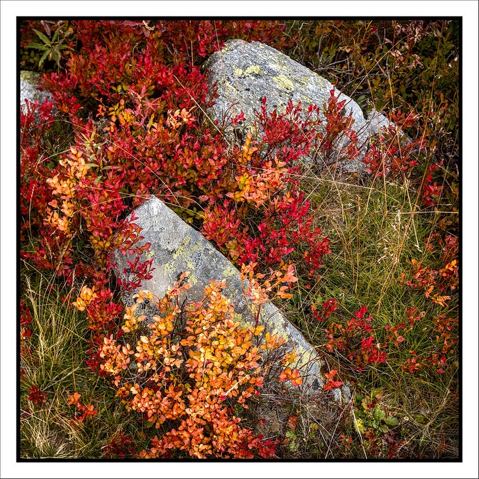 20250913_2025-09-13 nendaz_0091_02