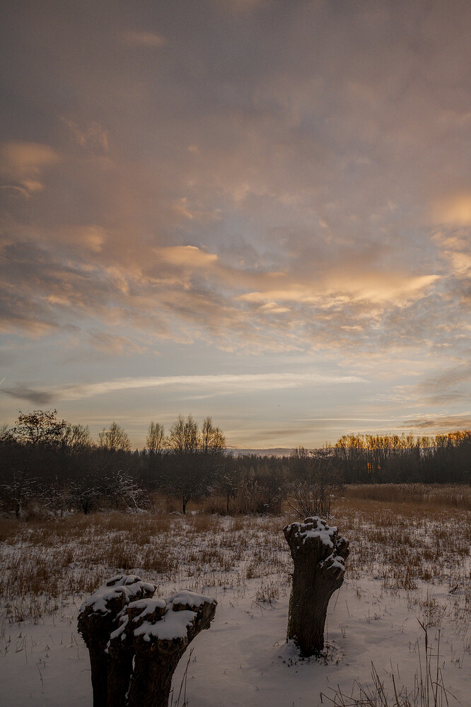 20260110-085702-DSC_2273