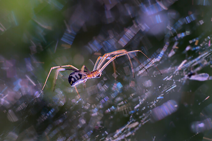 2023-05-23__DSC05176-GIMP L-a-b1