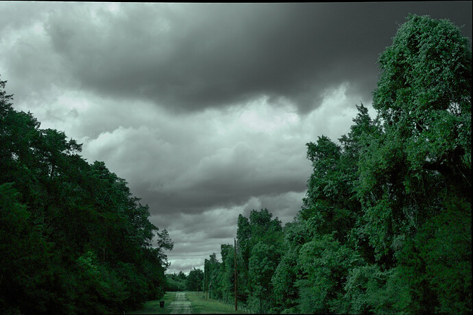 SDIM0790