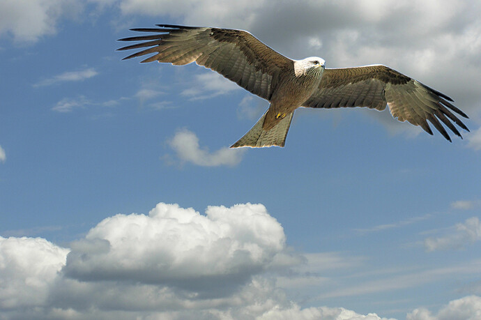 _DSC9059 RawTherapee-GIMP-Sky (Jpegli)