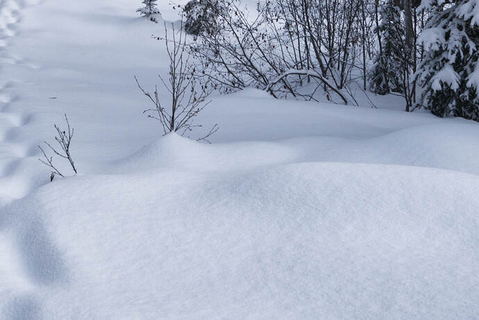 2020-02-25_10-40-25_2