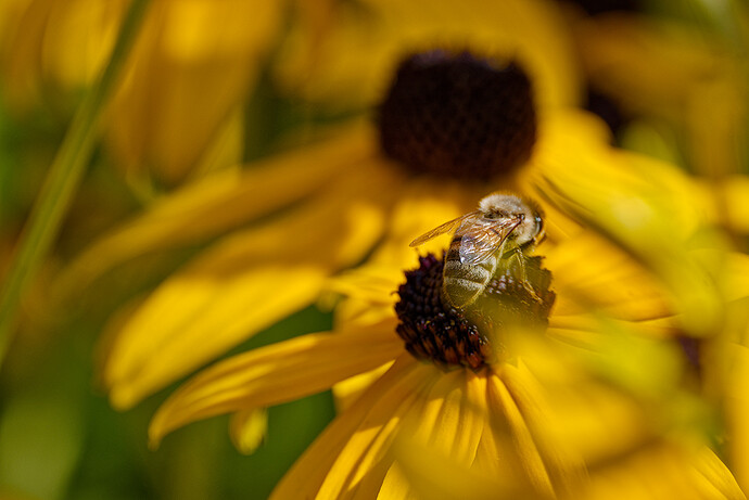 2023-08-15-DSCF1521_LR