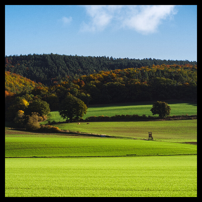 251018_094402_DSC05235