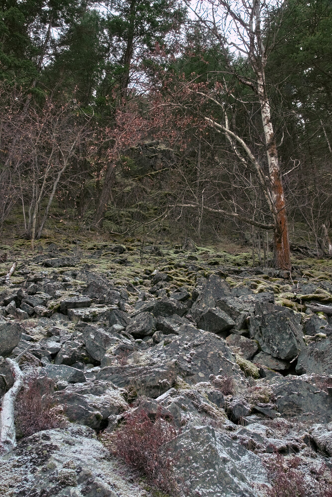 DSC08542_art,gimp,gmic_edit