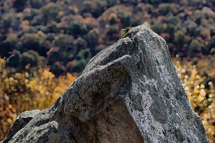 DSCF0846-GIMP (Jpegli)