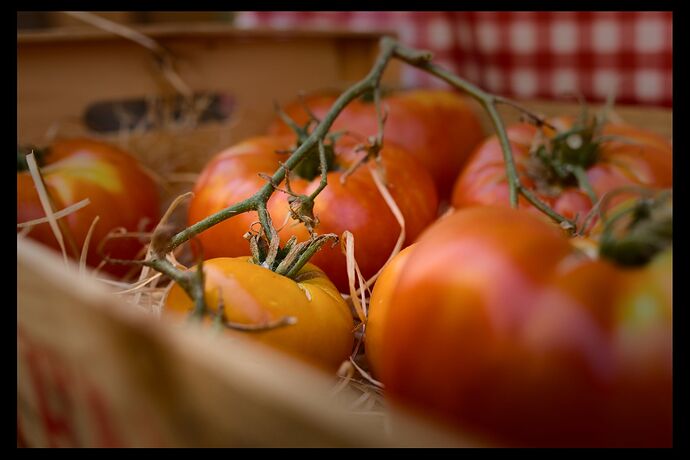 Sell these tomatoes_2022-08-07t15-40-50_1144
