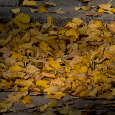 ND800_0005626_anonymized_03_crop4